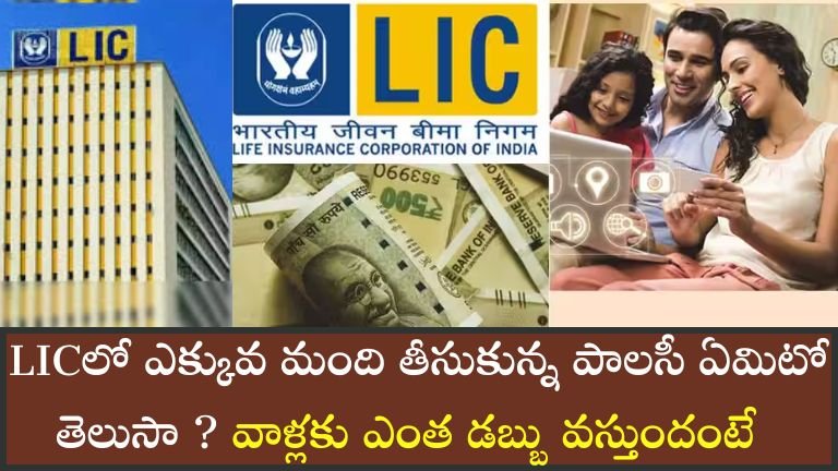 LIC policy