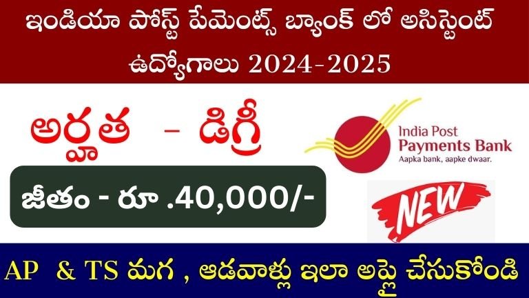 IPPB Recruitment 2024-2025