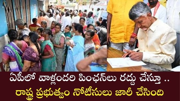 NTR Bharosa scheme